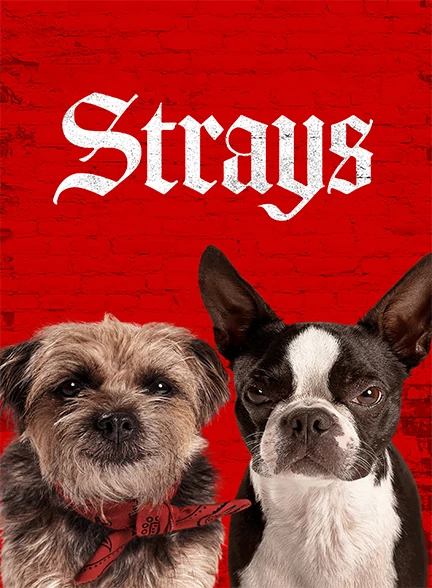Strays.2023.feature